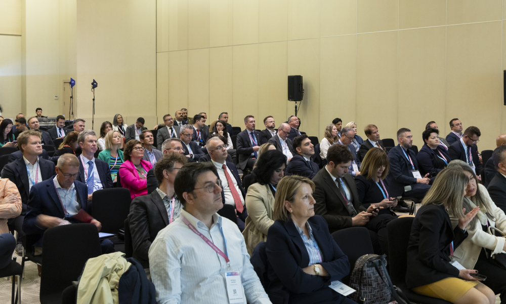 Image of delegates in one of the conference sessions